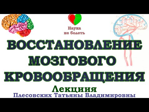 Видео: КАК ВОССТАНОВИТЬ МОЗГОВОЕ КРОВООБРАЩЕНИЕ -||- МОЗГОВОЕ КРОВООБРАЩЕНИЕ КАК УЛУЧШИТЬ -||- ЛЕЧЕНИЕ МОЗГ
