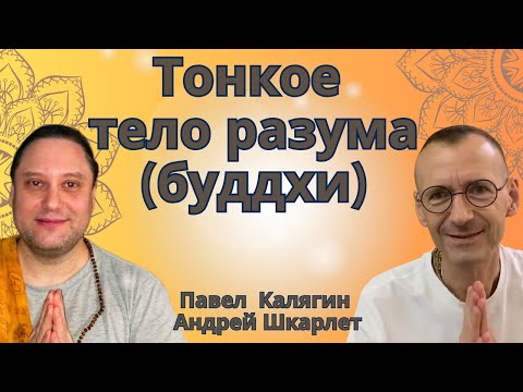 Видео: Тонкое тело разума (буддхи). Павел Калягин и Андрей Шкарлет