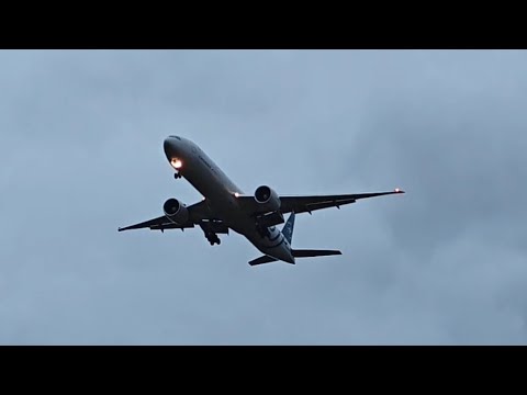 Видео: Вечерний споттинг в Шереметьево 4 ноября 2025. Evening plane spotting Sheremetyevo Moscow