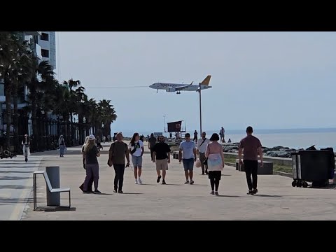 Видео: Жара в Батуми. Грузия. 16 марта. Georgia Batumi ☀️🇬🇪 4K