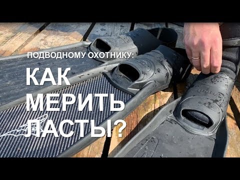 Видео: Как мерить ласты для подводной охоты