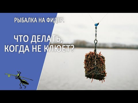 Видео: Рыбалка на фидер летом. Что делать, когда не клюет? 5 способов как уйти от нуля