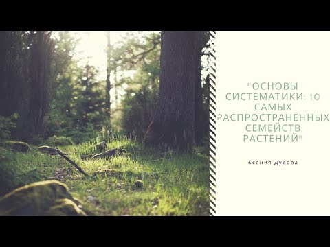 Видео: "Основы систематики: 10 самых распространенных семейств растений"