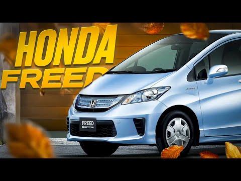 Видео: Считаем HONDA FREED GB3, GB4 на аукционах Японии