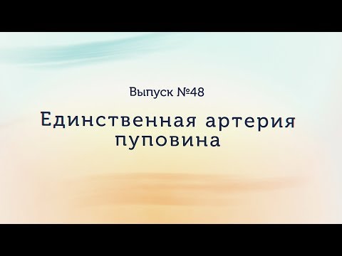 Видео: Единственная артерия пуповины