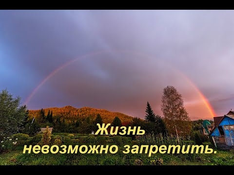 Видео: Жизнь невозможно запретить