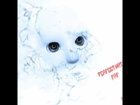 Видео: PerfectHate - человечество Humanity