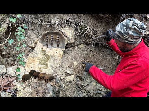 Видео: Мы были потрясены, увидев ужасающее сокровище!!!