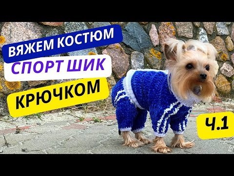 Видео: "СПОРТ-ШИК" крючком для собаки с застежкой на спине: подробный мастер-класс/спортивный костюм