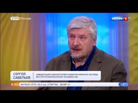 Видео: С.В. Савельев о пользе изучения математики