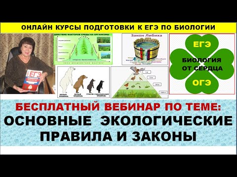 Видео: ОСНОВНЫЕ ЭКОЛОГИЧЕСКИЕ ПРАВИЛА И ЗАКОНЫ