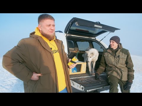 Видео: САНЯ, ХАЙЛЮКС, СОБАКА И ПЕТАРДЫ - TOYOTA HILUX