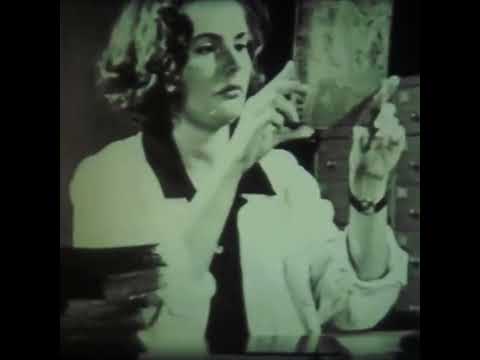 Видео: ATOW — Москва | Рассматривая звёзды: ambient.