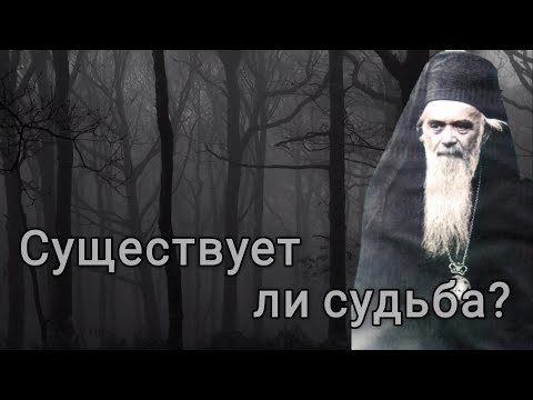 Видео: Существует ли судьба? Николай Сербский