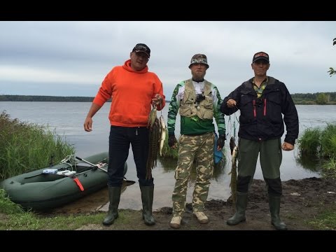 Видео: Рыбалка с друзьями в Десногорске - Тестирую Black Hole SWIFT 7 - 21 g