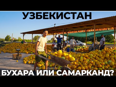 Видео: Узбекистан. Таможня 😬 Почему Бухара лучше Самарканда? Обзор. Еда. Цены. Путешествие по стране