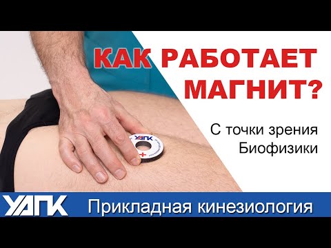 Видео: Магниты в Прикладной кинезиологии. (Глеб Кирдогло)