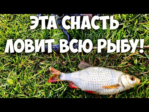 Видео: ЛЕТНИЙ НАНОДЖИГ.  Ловля КРАСНОПЕРКИ и ОКУНЯ. МОРМЫШИНГ РЫБАЛКА.