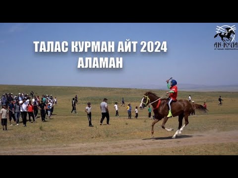 Видео: Аламан Чабыш, Курман айт 2024