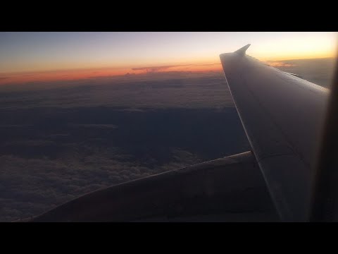 Видео: Airbus 321-200 а/к Ural airlines | рейс Москва - Сочи