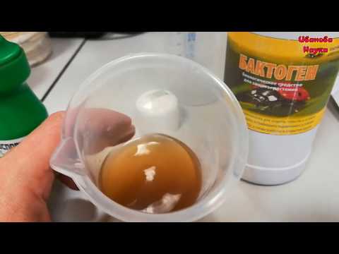 Видео: Бактоген, фитоспорин... Жидкий и в пасте. Как и какой выбрать?