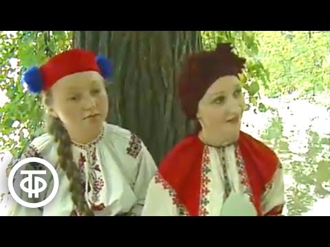 Видео: Есть в Богородицке парк (1988)