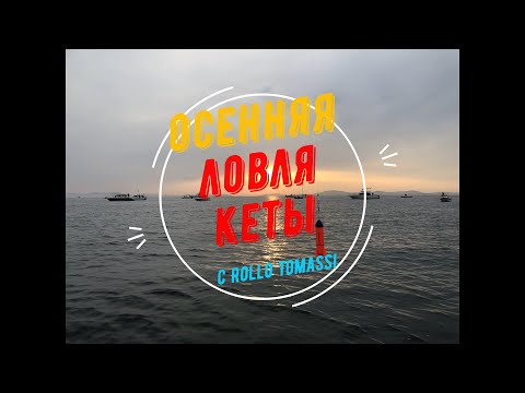 Видео: Осенняя ловля кеты