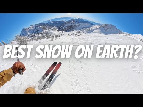 Видео: Это лучшее катание по целине в Америке?! | Snowbird & Alta