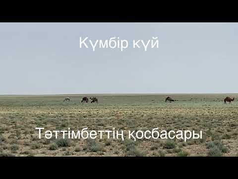Видео: Тәттімбеттің күйі Қосбасар, орындаған Айтжан Тоқтаған