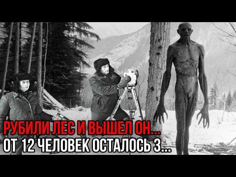 Видео: ЧЁРТ из под земли ВЫШЕЛ к Артельщикам в тайге