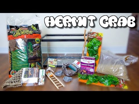 Видео: *НОВАЯ* НАСТРОЙКА ТОЛЬКО ДЛЯ КРАБА-ОТШЕЛЬНИКА!!