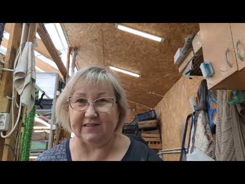 Видео: Рассада на продажу. Адский труд за копейки? Болталка и ответ на вопрос.