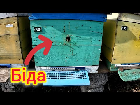 Видео: Щоб врятувати - термінове втручання.