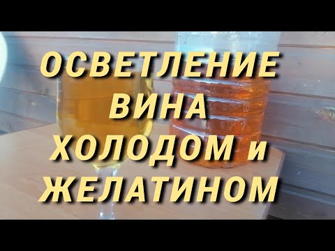 Видео: Осветление вина холодом (криостабилизация) и желатином.