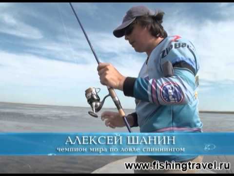 Видео: Ловля щуки на поверхностные приманки (Часть 1)