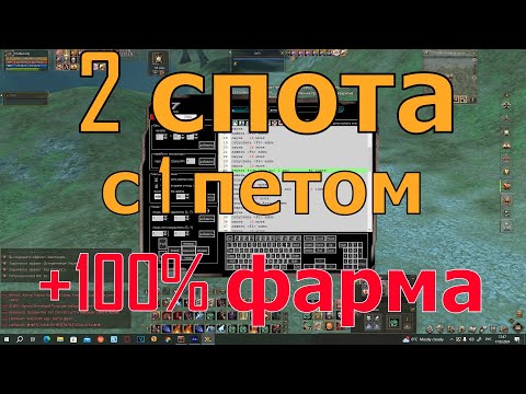 Видео: Макрос в Lineage 2 main. 2 спота с 1 петом!!! Это легко