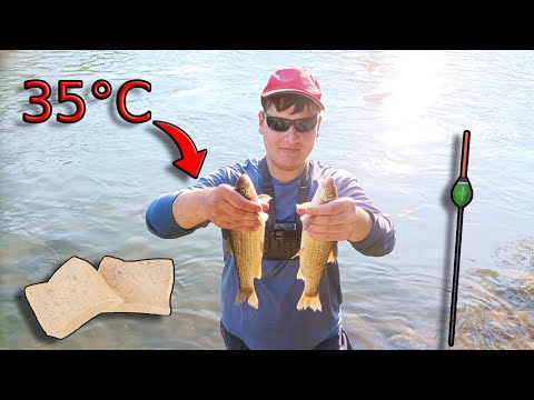 Видео: Летни СКОБАРИ началото! Риболов в бързака с ПЛУВКА на ИЗТИЧАНЕ! Мръсна ЖЕГА! Nase fishing!