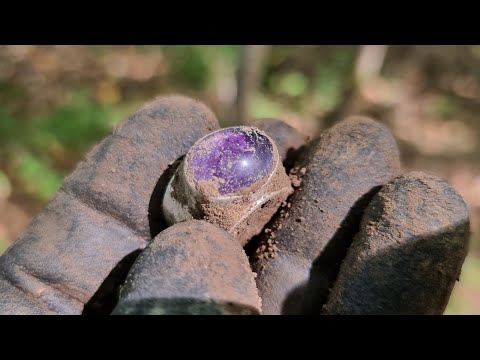 Видео: Сегодня мой день!!! Здесь ещё никто не копал.