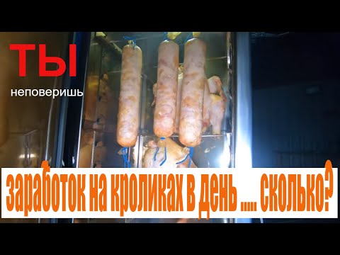 Видео: заработок на кроликах в день ..... сколько? ты не поверишь ! бизнес идеи