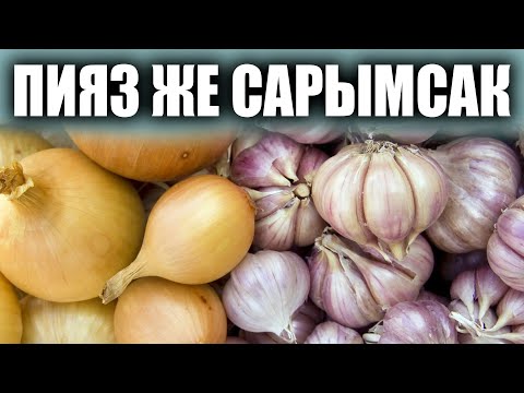 Видео: Лук или чеснок? Что полезно? // полезные советы