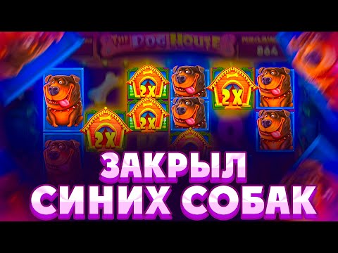 Видео: ЗАНОСИЩЕ ВСЕЙ ЖИЗНИ В THE DOG HOUSE MEGAWAYS!!ЗАКРЫЛ ОГРОМНУЮ ПОЛЯНУ БУДОК С СИНИМИ СОБАКАМИ!!!