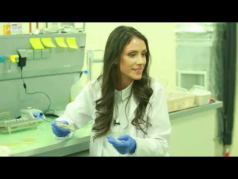 Видео: ЕКСПЕРИМЕНТ: Колко мръсни са телефоните ни?