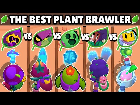 Видео: КАКОЙ САМЫЙ МОЩНЫЙ РАСТИТЕЛЬНЫЙ БРОЛЕР?🌿 | BRAWL STARS