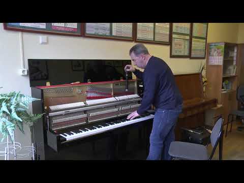 Видео: Концертная настройка пианино и роялей. Часть 6/7