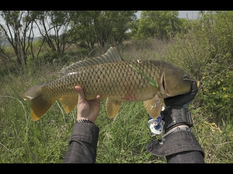 Видео: Первые дни лета slingshot fishing (охота с рогаткой)