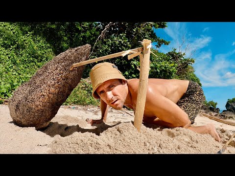 Видео: Примитивная ловушка на Крабов для выживания на острове. гигантский Краб Кокосовый вор. №37
