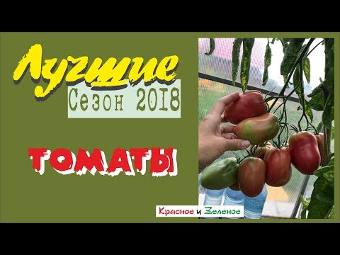Видео: Лучшие томаты для грунта и теплицы. Мои впечатления от сезона