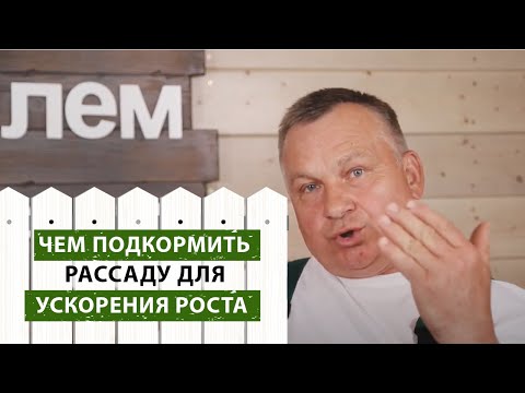 Видео: ЧЕМ ПОДКОРМИТЬ РАССАДУ ДЛЯ УВЕЛИЧЕНИЯ РОСТА?