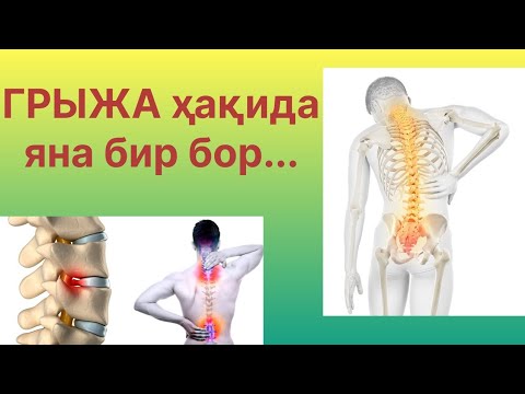 Видео: ГРЫЖА ҳақида яна бир бор... #kineziologiya