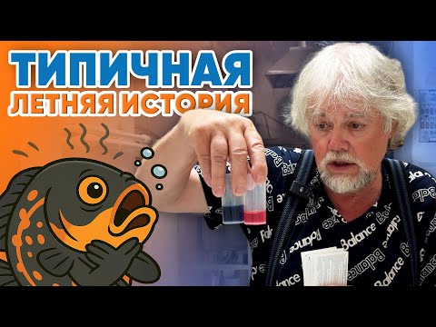 Видео: Аквариумные истории из ЭКЗОМЕНЮ (08.08.2025). Типичная летняя история.